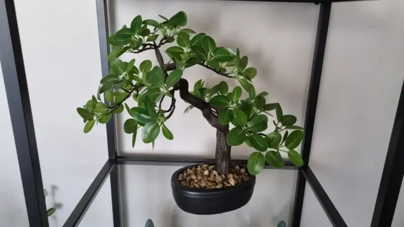 Bonsái decorativo artificial con maceta negra