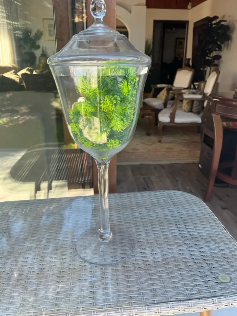 Jarrón de Cristal con Tapa Decorativo - 2