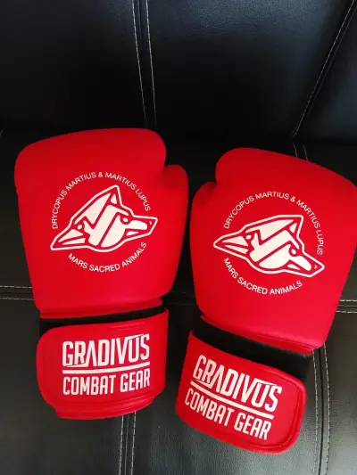 Guantes de Boxeo Rojos Gradivus 12 oz - miniatura 1