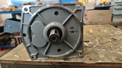 Motor reductor industrial Linming 0.75 kW - miniatura 5