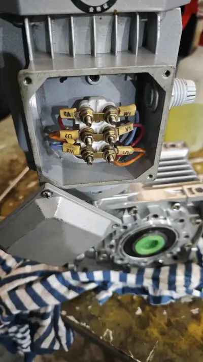 Motor eléctrico trifásico con caja reductora - miniatura 1