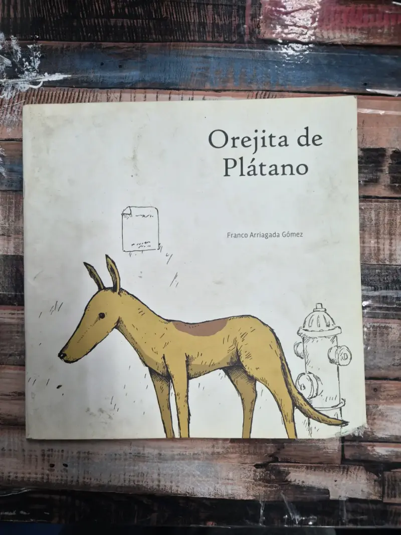 Libros infantiles - 6