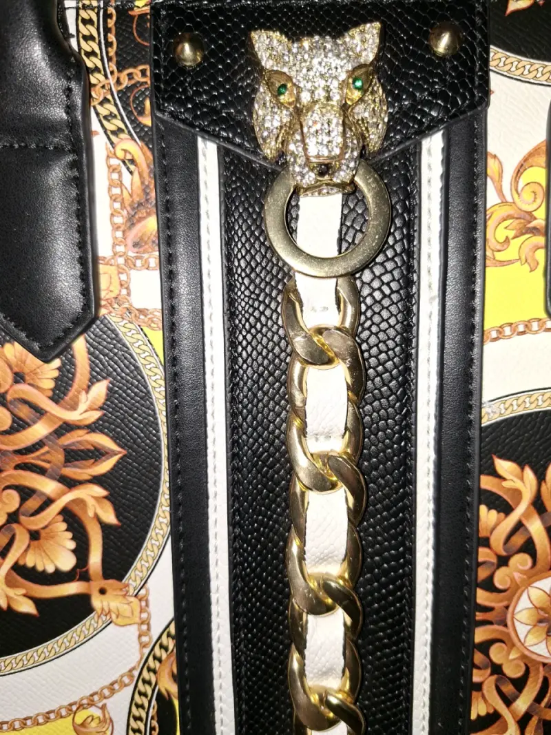 Cartera ALDO - 4