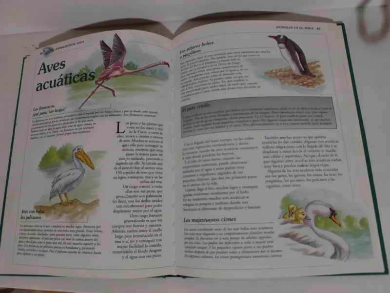 Libro 'Nuestros Amigos los Animales y las plantas" - 4