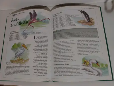 Libro 'Nuestros Amigos los Animales y las plantas" - miniatura 4