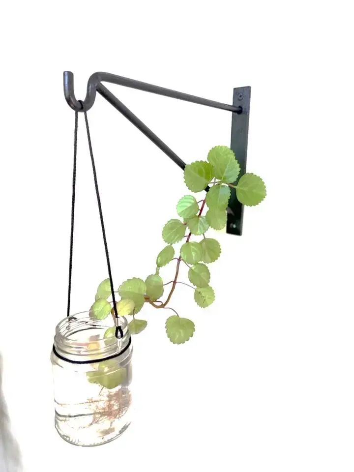 Soporte de pared metálico para macetas - 1