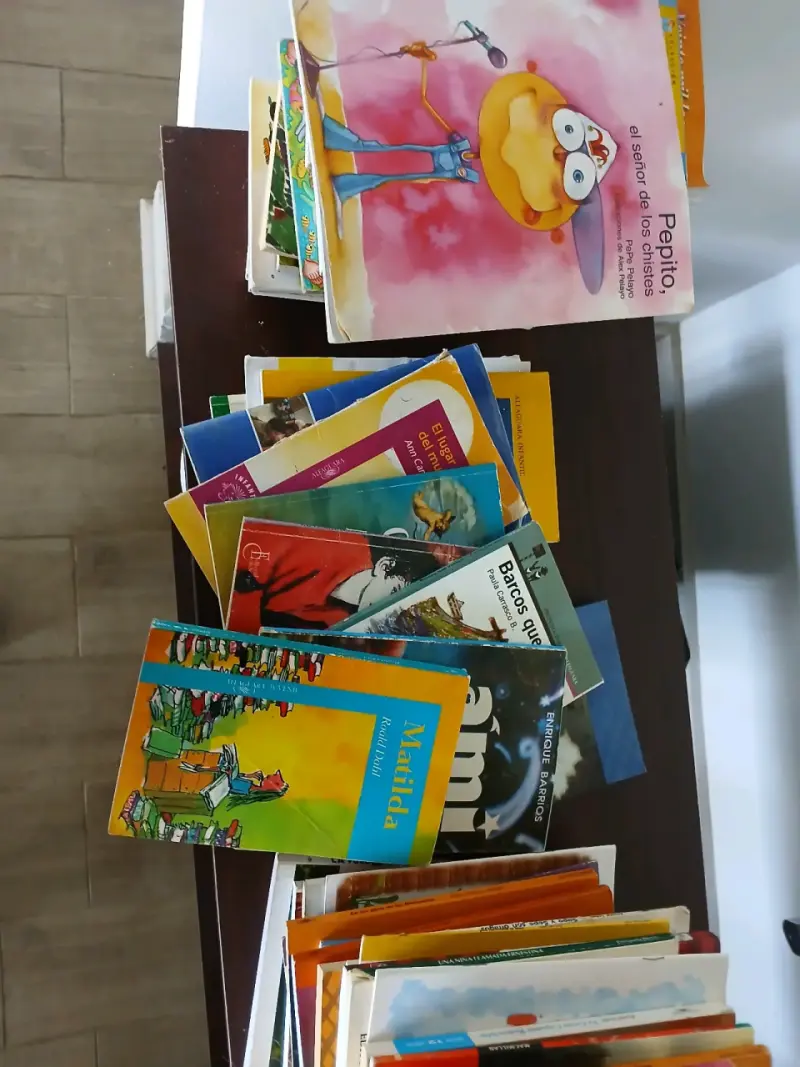 Lote de libros infantiles y juveniles variados - 2