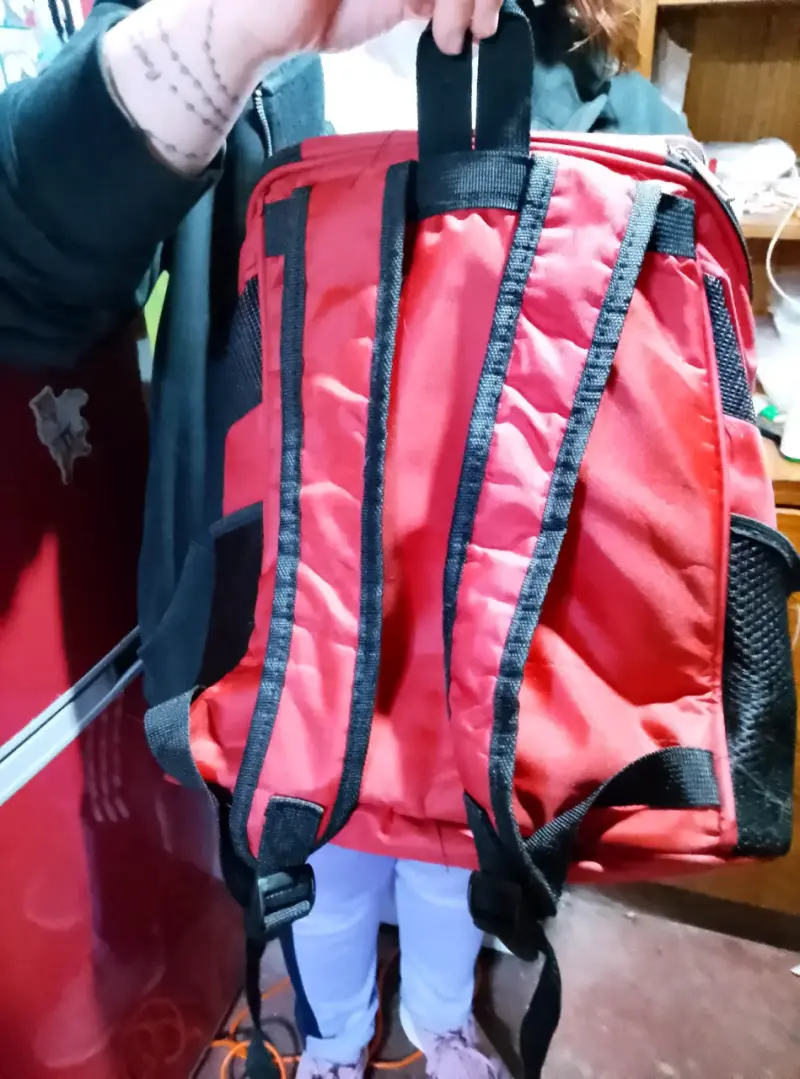 Mochila transportadora para mascotas roja - 2