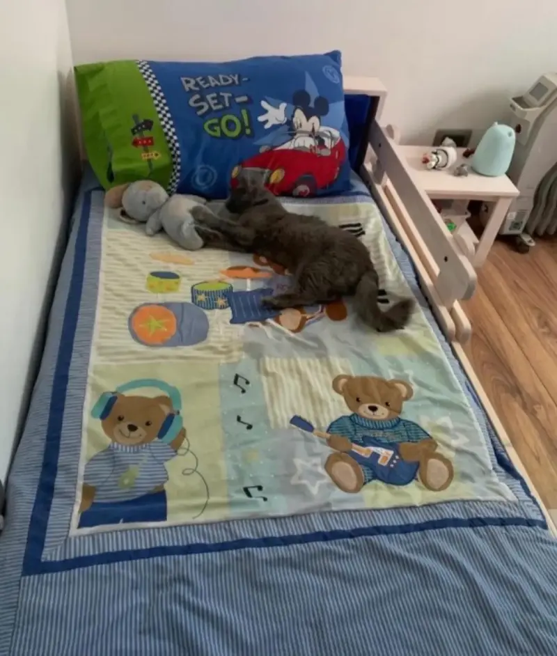 Cama infantil de madera con barandas - 3