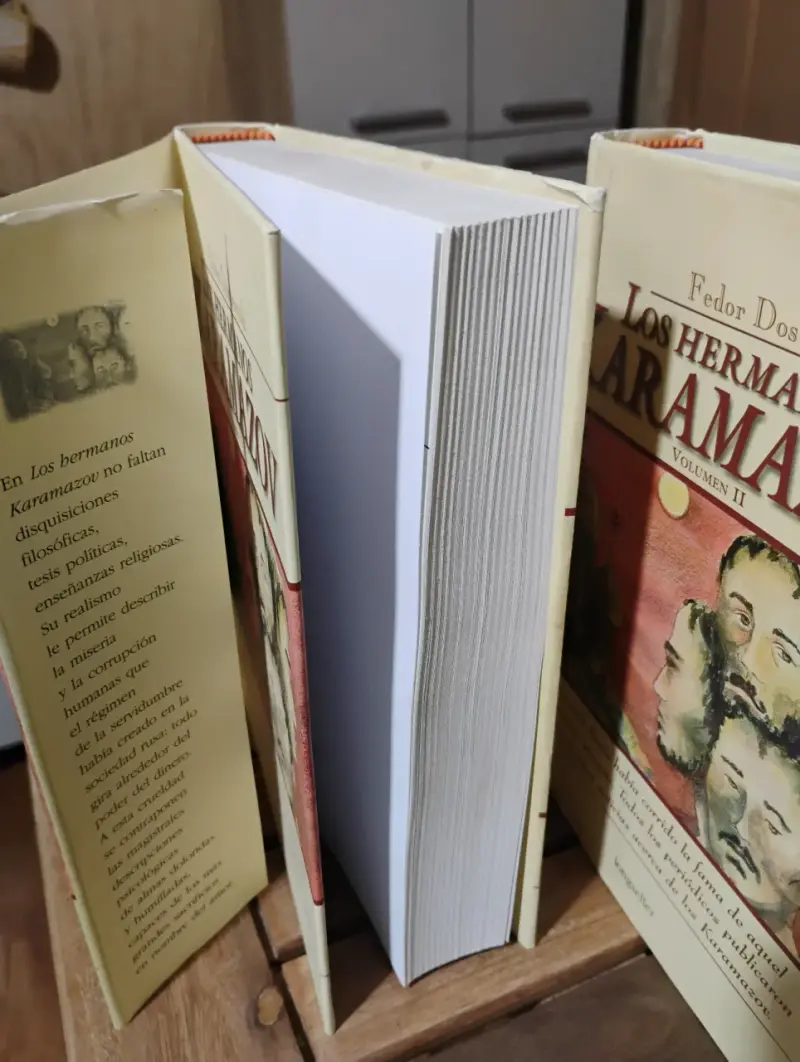 Colección Los Hermanos Karamazov de Fedor Dostoievski - 2