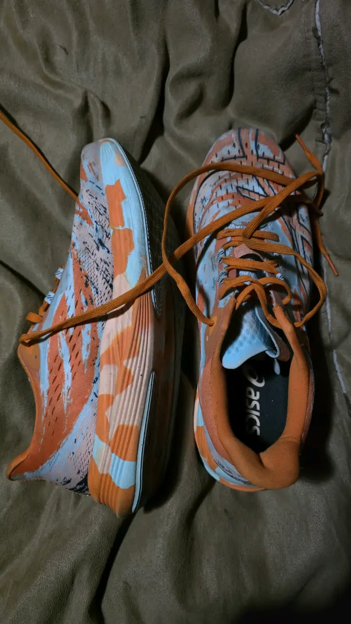 Zapatillas Asics Noosa Tri 15 - 2