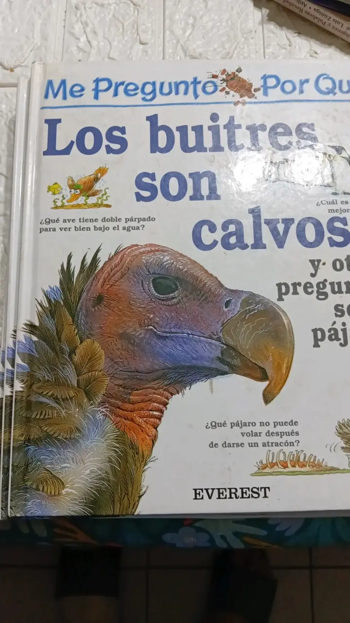Libro infantil 'Los buitres son calvos' Everest - 1