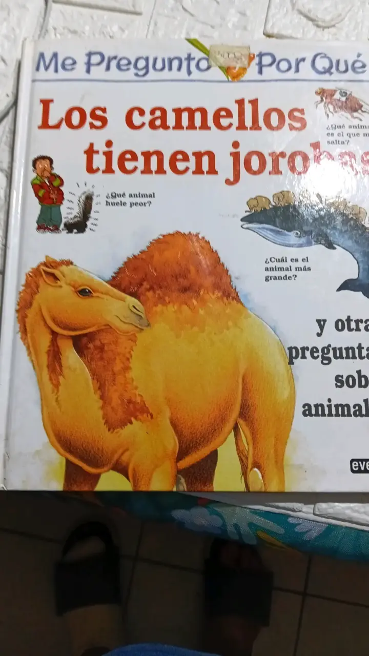 Libro infantil 'Los buitres son calvos' Everest - 2