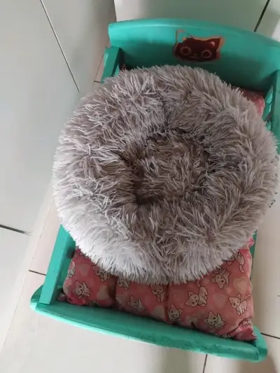 Cama de madera para mascotas con cojín - miniatura 4