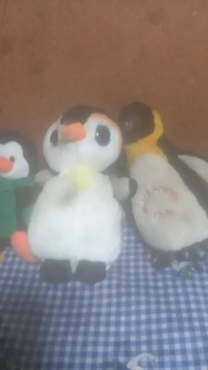 Peluches de pingüinos y variados tamaños - 1