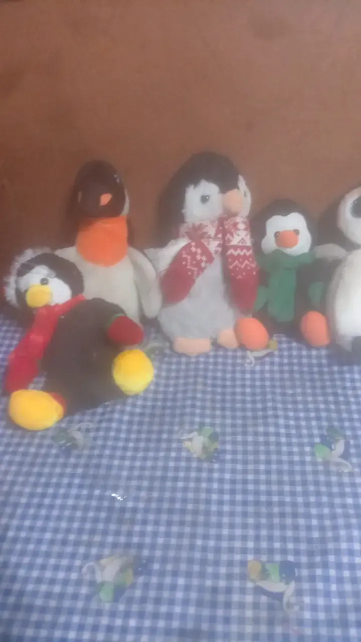 Peluches de pingüinos y variados tamaños - 3
