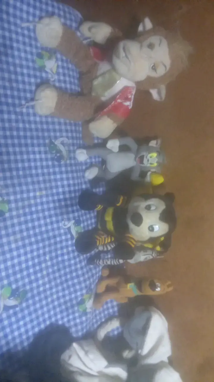 Peluches de personajes animados variados - 3
