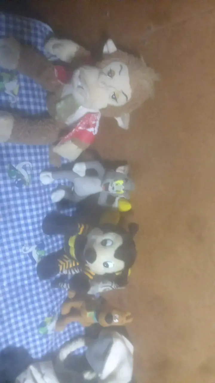 Peluches de personajes animados variados - 6