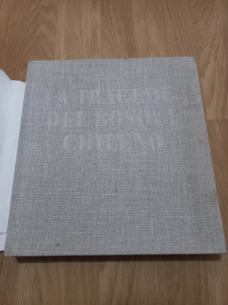 Libro 'La Tragedia del Bosque Chileno' en buen estado - 2