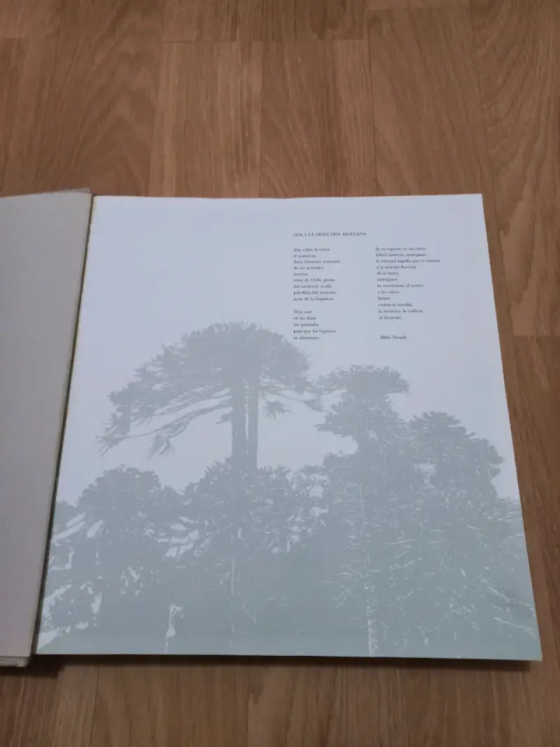 Libro 'La Tragedia del Bosque Chileno' en buen estado - 3