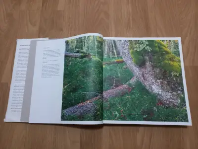 Libro 'La Tragedia del Bosque Chileno' en buen estado - miniatura 4