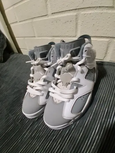 Zapatillas jordan 6 cool gray - miniatura 1