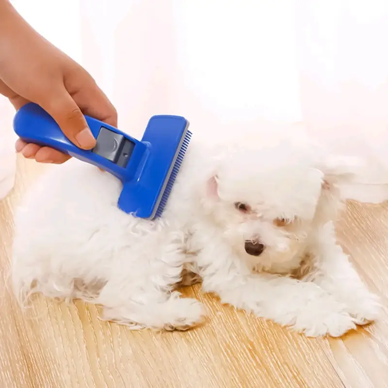 Cepillo Desenredante para Mascotas Azul - 1
