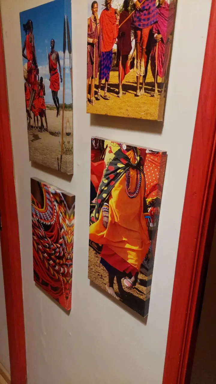 Conjunto de cuadros decorativos con temática africana - 3