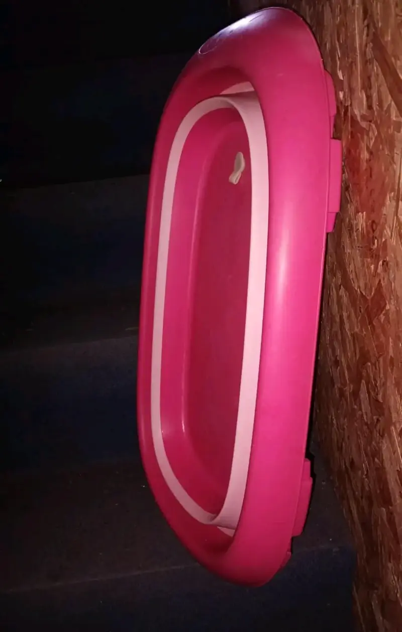Bacinica infantil Baby Babie rosa con diseño de oso - 4