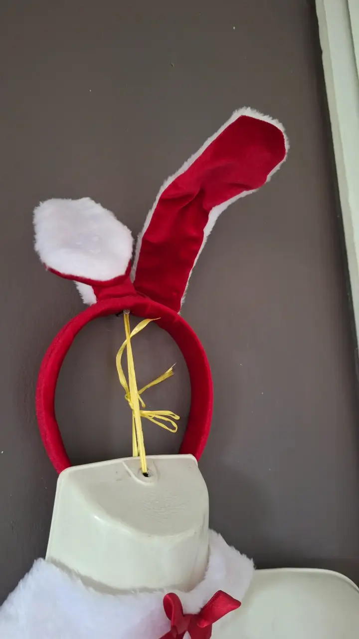 Disfraz de Navidad para Mujer con Orejas de Conejo - 6