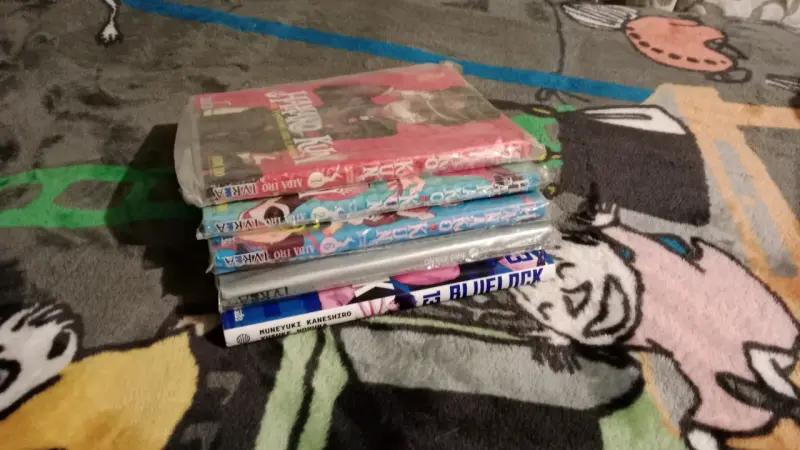 Mangas en buen estado - 1