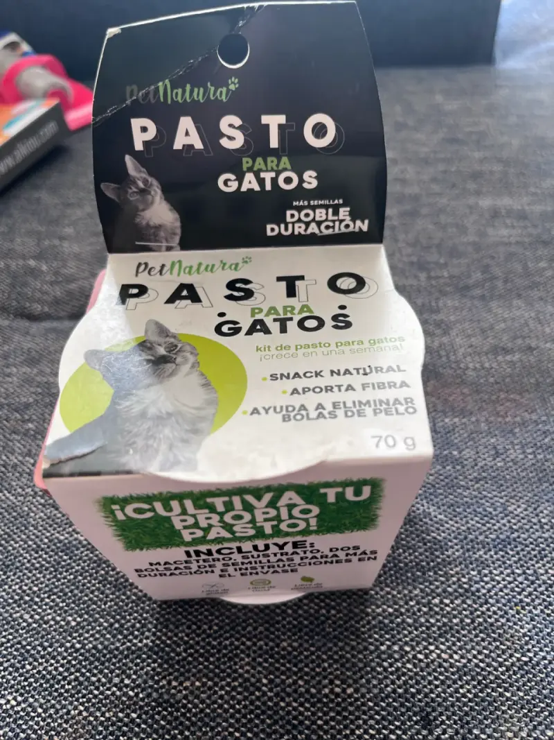 Kit de Pasto para Gatos PetNatura