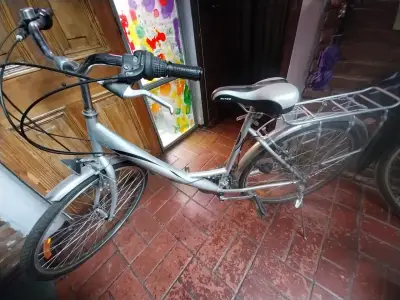 Bicicleta de paseo con portaequipajes - miniatura 1