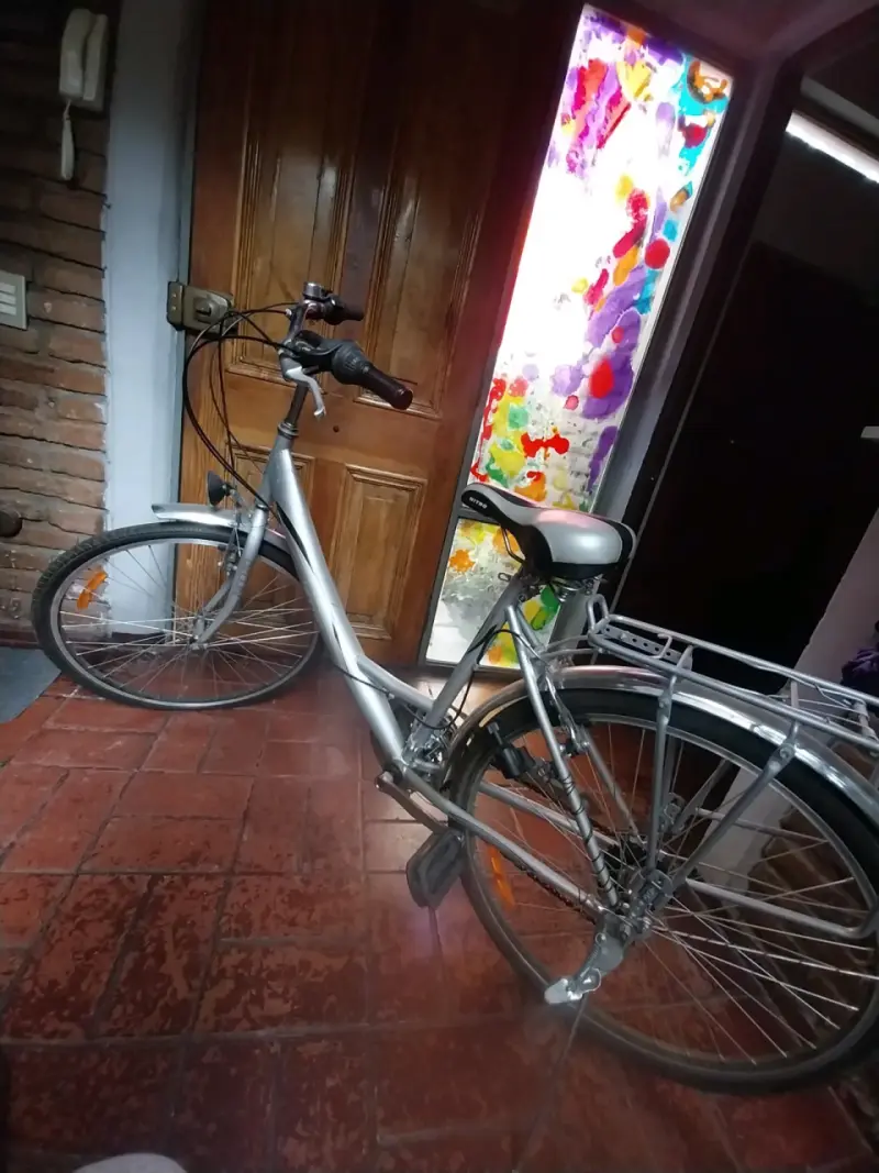 Bicicleta de paseo con portaequipajes - 2