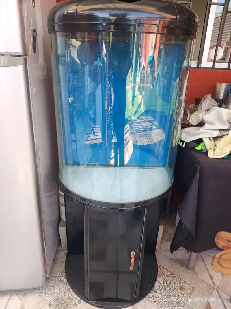 Acuario con mueble negro y tapa curva