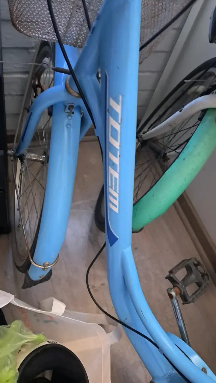 Bicicleta urbana azul con canasto Totem - 3