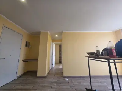 Se vende maestro pintor - miniatura 1
