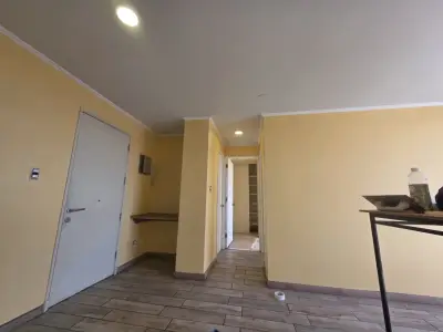 Se vende maestro pintor - miniatura 3
