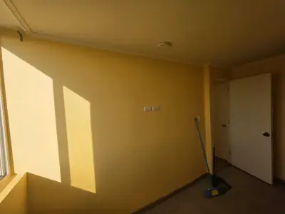Maestro pintor - miniatura 2