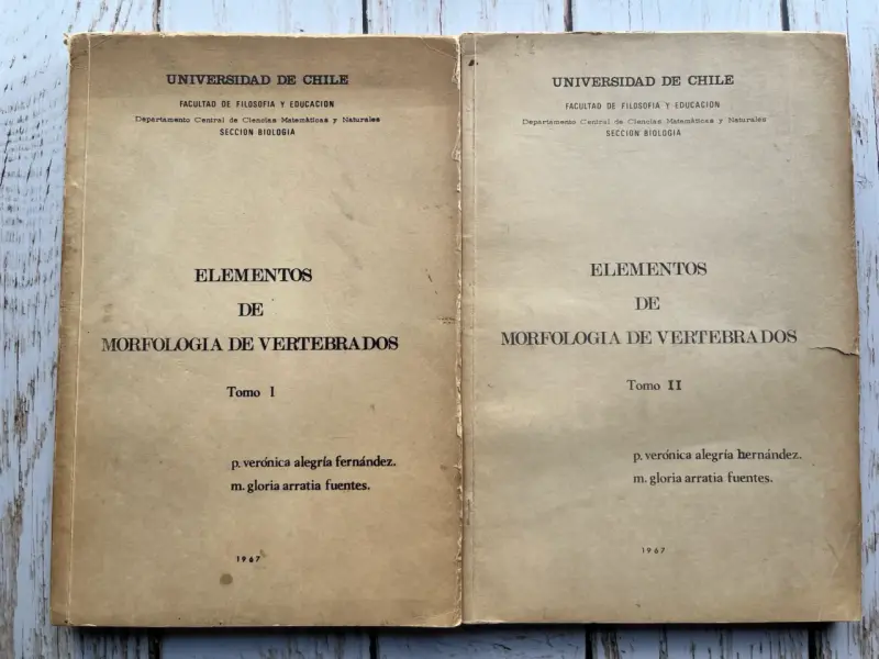 Elementos de Morfología de Vertebrados 1967Tomos - 1