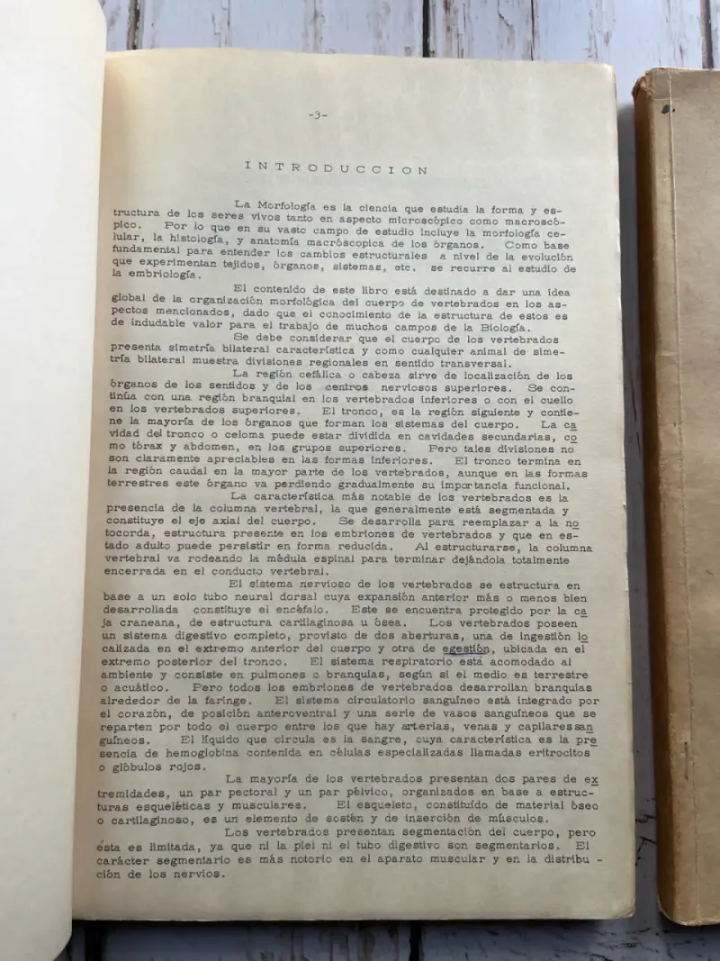 Elementos de Morfología de Vertebrados 1967Tomos - 2