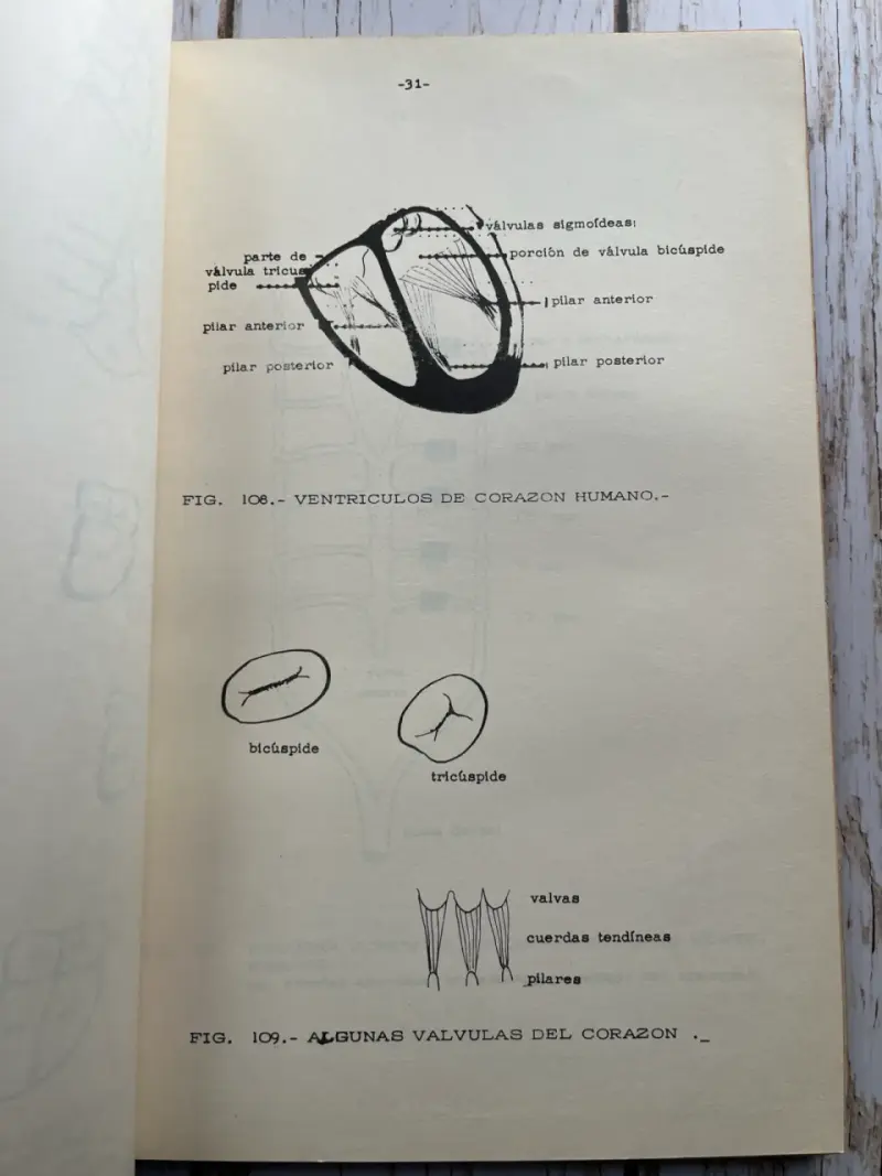Elementos de Morfología de Vertebrados 1967Tomos - 5