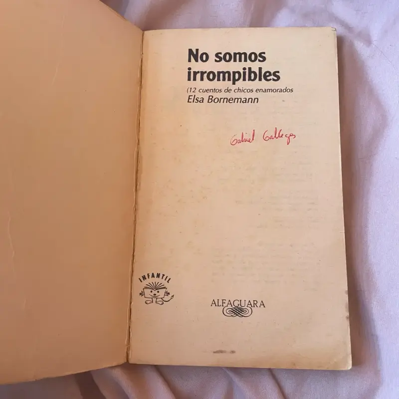 Libro 'No Somos Irrompibles' de Elsa Bornemann - 2
