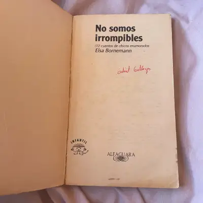 Libro 'No Somos Irrompibles' de Elsa Bornemann - miniatura 2