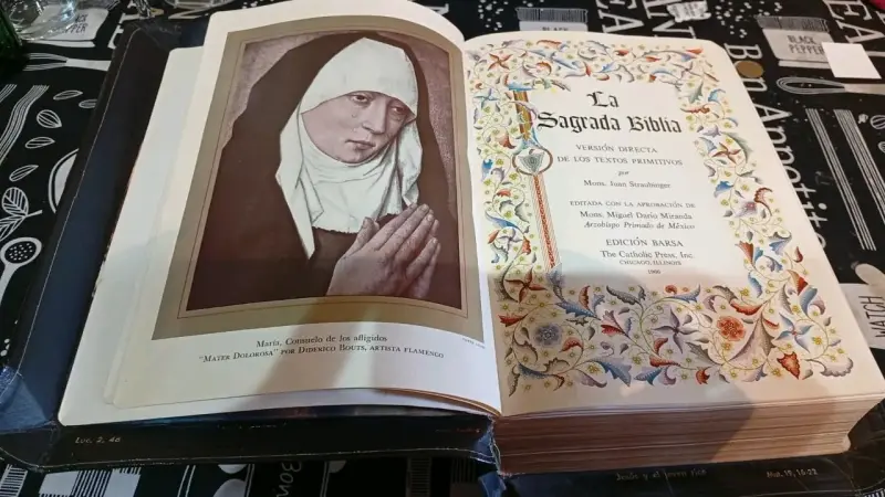 Sagrada Biblia con Ilustraciones Clásicas - 3