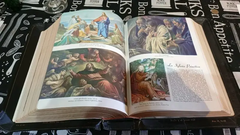Sagrada Biblia con Ilustraciones Clásicas - 5