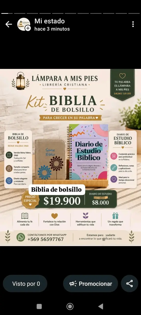 Kit Esencial para Devocional con Biblia y Bolsa - 6