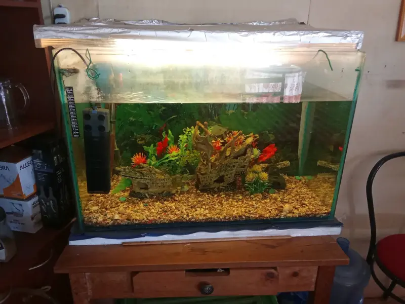 Acuario con accesorios decorativos y filtro - 3