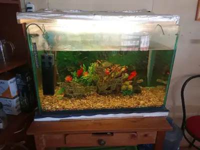 Acuario con accesorios decorativos y filtro - miniatura 3
