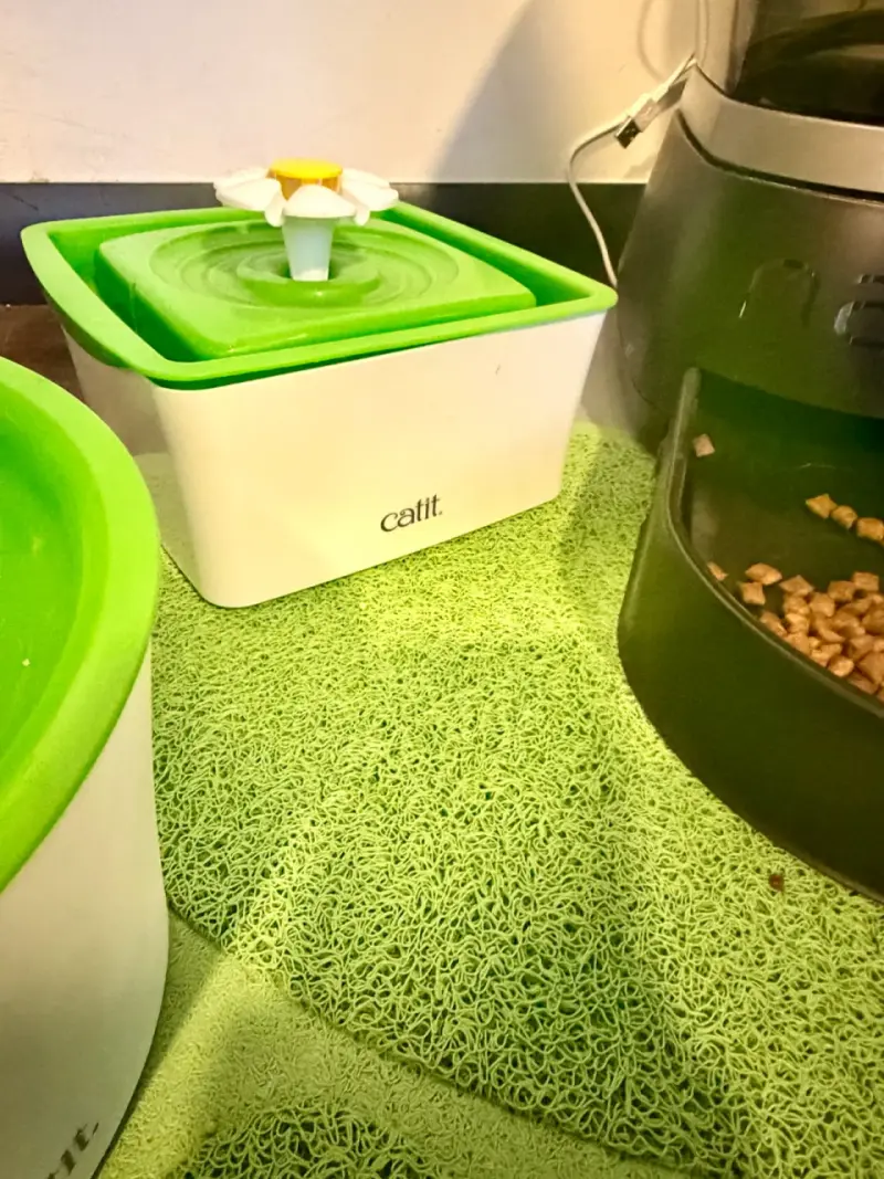 Fuente de agua para mascotas Catit 2.0 con flor - 4